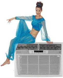 Air Conditioning Maintenance and Servicing