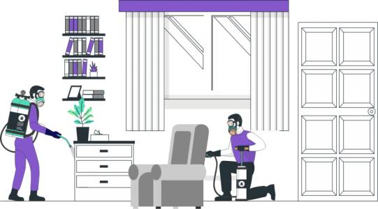 Pest Control Management in Nagpur