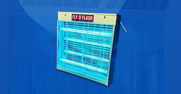 IMF 02 Model – Fly Catcher