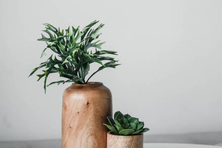 Nutritional Guidance