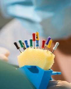 DENTAL ENDODONTIST
