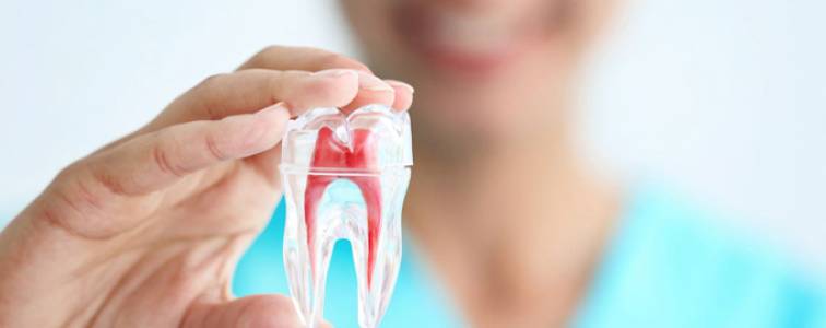 Dental Implants in Ludhiana