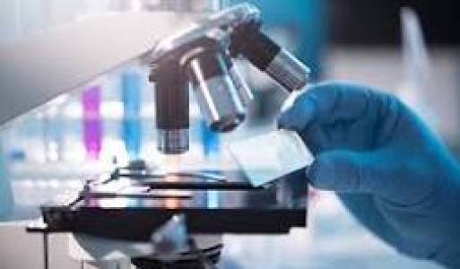 Health and Pathology