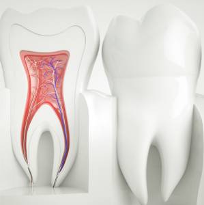 Root Canal Treatment