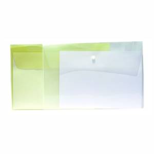 Single Pocket Transparent Document
