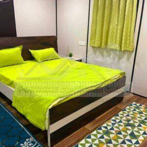 Portable House Cabin