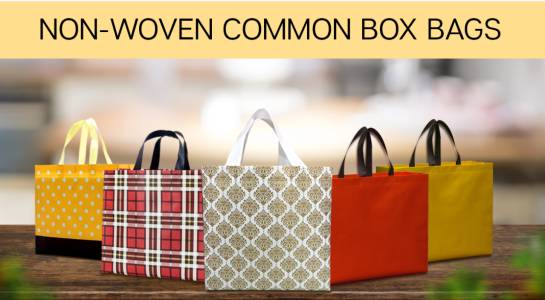 Non Woven Common Box Bags