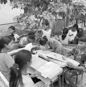 Letters from the Land