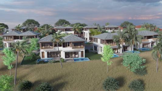 WHITE RICE VILLAS