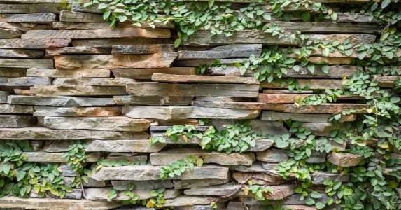 Wall & Cladding Systems