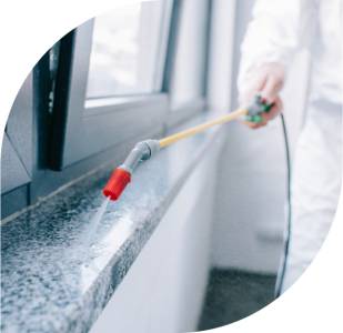 General Insect Spray Treatment